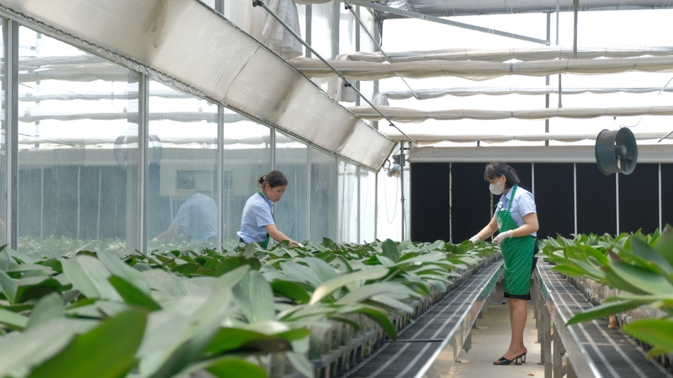 Anova Agri và Base.vn mở đường cho AI quản trị doanh nghiệp