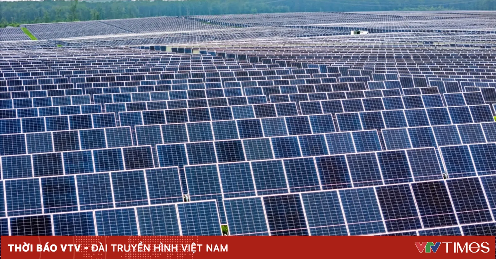 Thuế 15% polysilicon và pin mặt trời: Đòn xoay trục chuỗi cung ứng năng lượng tái tạo