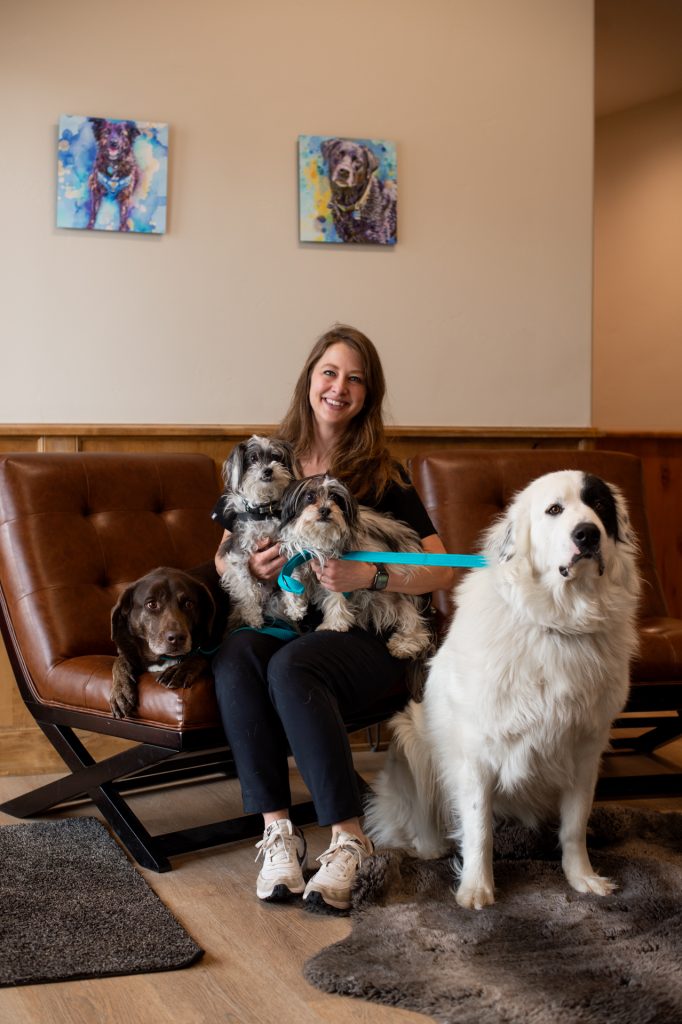 How Pet Weight Management Can Add Years to Their Life
