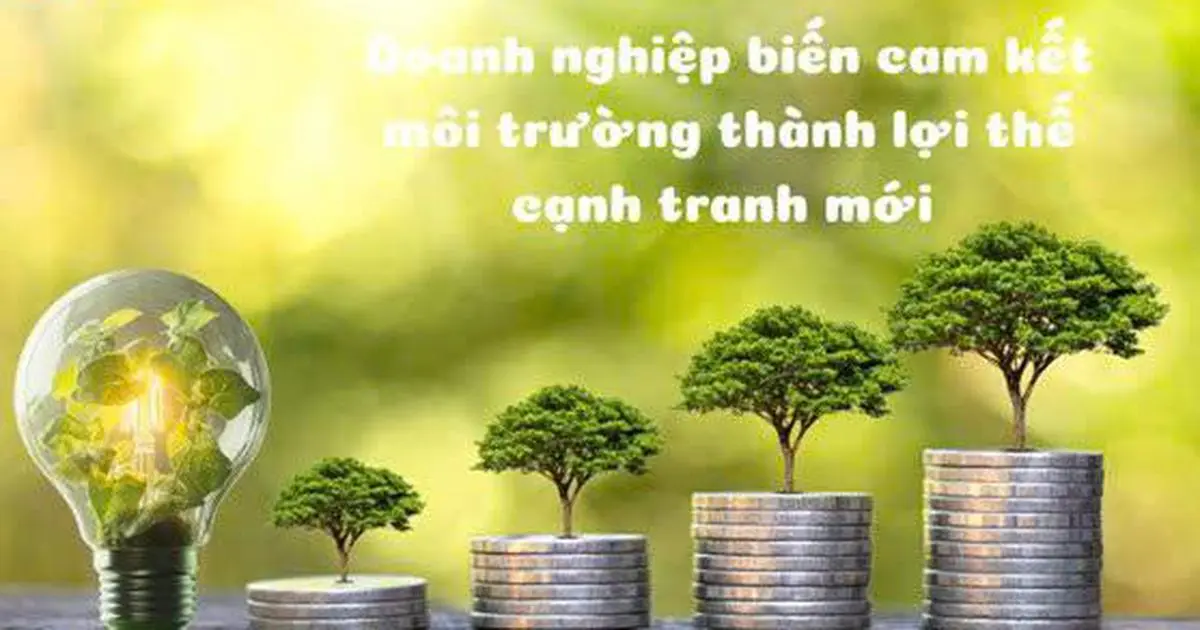 Việt Nam cần 700 tỷ USD cho Net Zero: mở khóa thị trường vốn xanh quốc tế