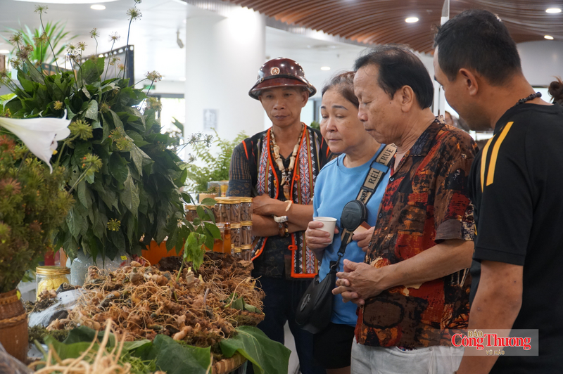 Lễ hội Sâm Ngọc Linh và Dược liệu Quốc tế Đà Nẵng: Bước nhảy của thảo dược Việt