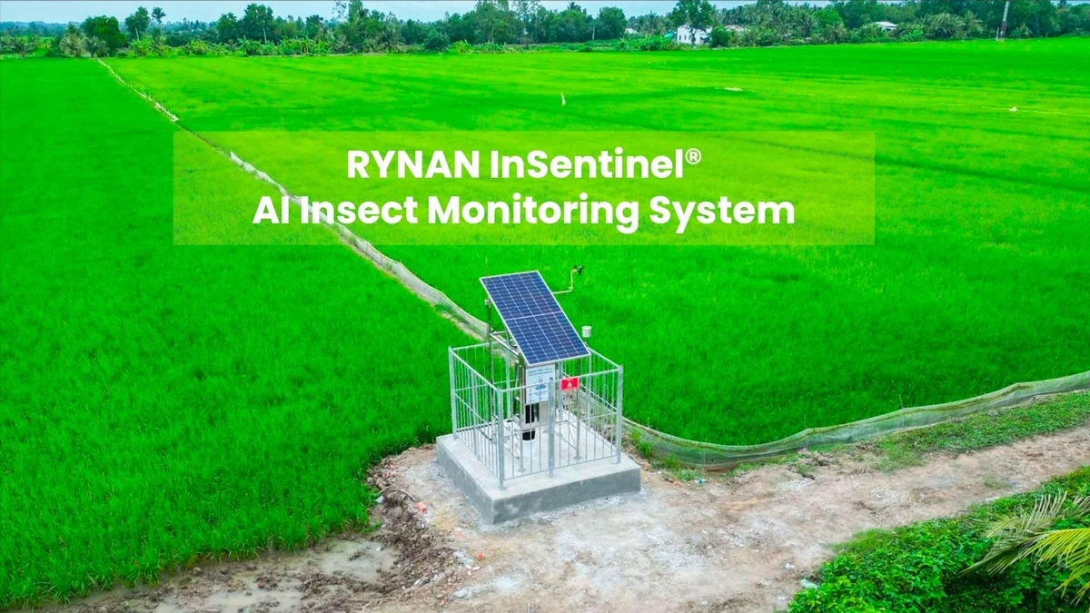 AI đi cùng nông dân: Từ bắt sâu đến bán trúng giá