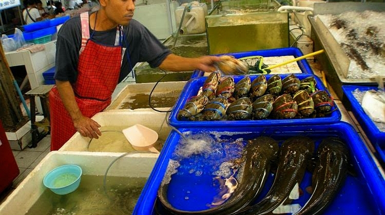 Người bán cá 20 năm chỉ rõ: cứ chọn cá thu, cá hố, cá đù vàng và tránh 4 kiểu cá chép này