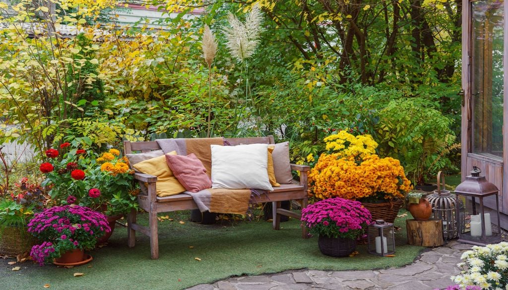 How to Use Houseplants as Natural Air Conditioning for Your Home