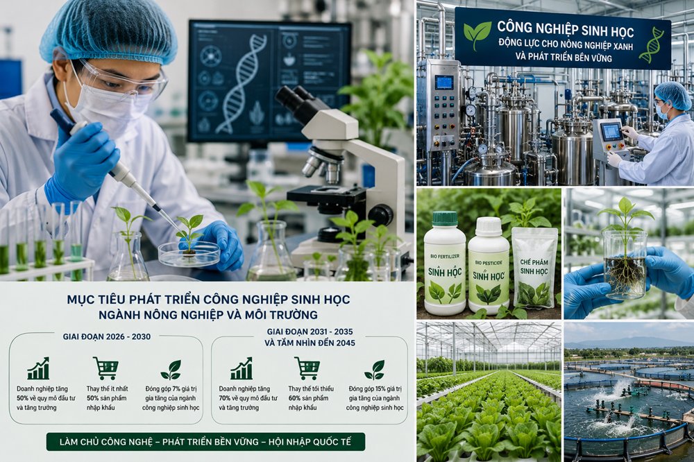 Thay thế 50% sản phẩm sinh học nhập khẩu: tham vọng hay bước ngoặt?