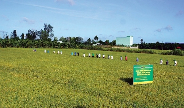 Đề án JETP: Bước ngoặt cho an ninh năng lượng và phát triển bền vững