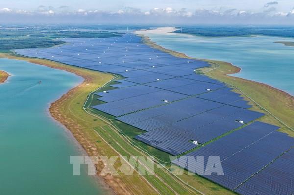 Nhà máy điện mặt trời Dầu Tiếng 5: Bước ngoặt cho năng lượng sạch Việt Nam