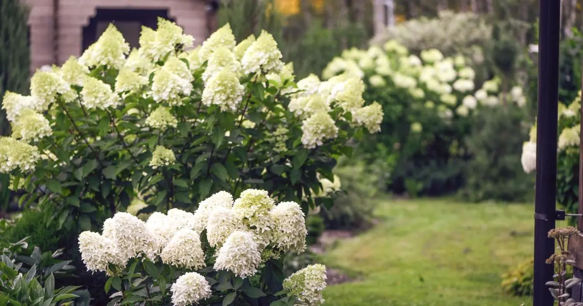Extend Your Outdoor Season Into Fall With a Cozy Patio Refresh