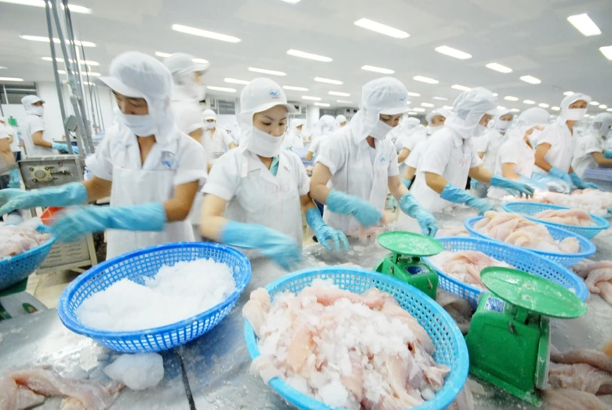 Thuế Mục 301: Thủy sản Việt Nam bước vào cuộc chơi chi phí mới