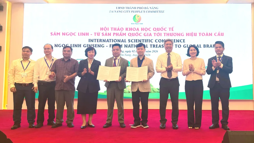 Từ rừng sâu đến tay người tiêu dùng: sâm Ngọc Linh cần được bảo vệ bằng công nghệ