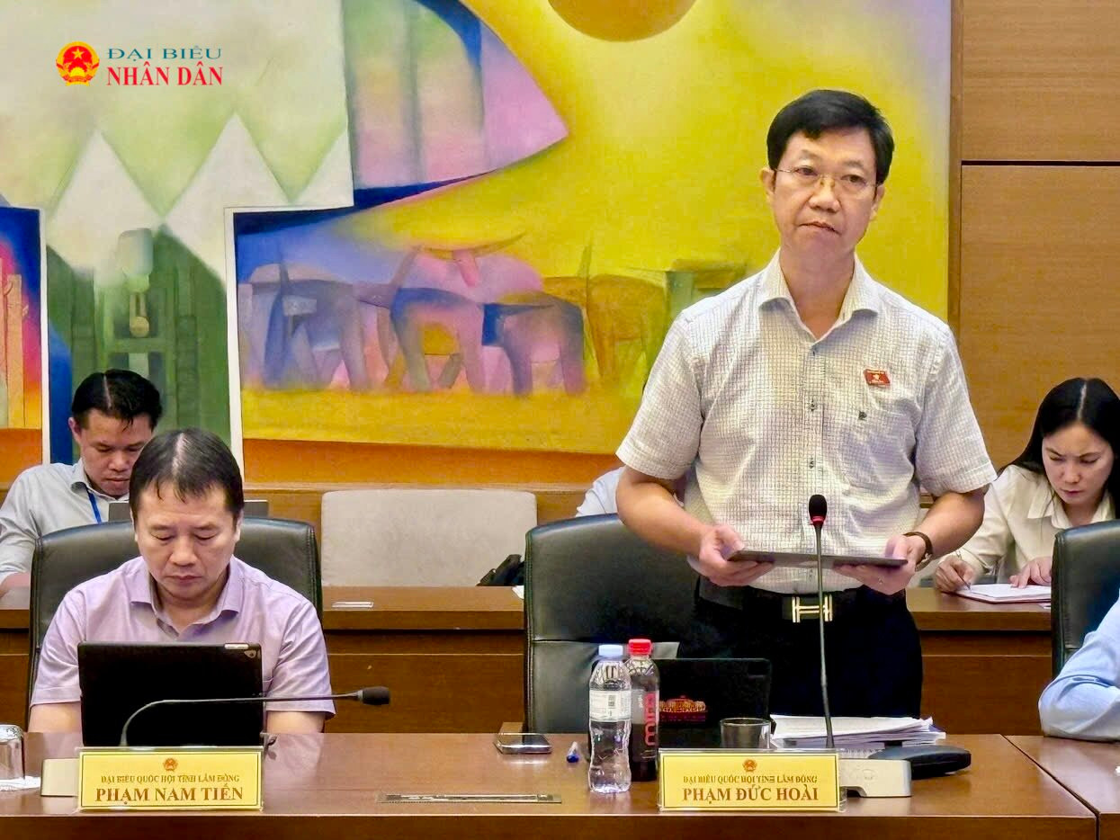 Thành phố Quảng Ninh trực thuộc: Cơ hội lớn, áp lực tái thiết bộ máy