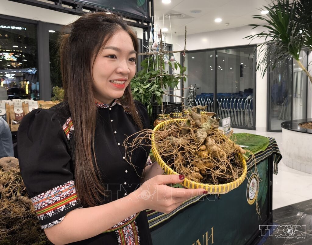 Từ Thành Phố Đến Miền Núi: Khi Cộng Đồng Học AI Ngay Trên Đường Phố