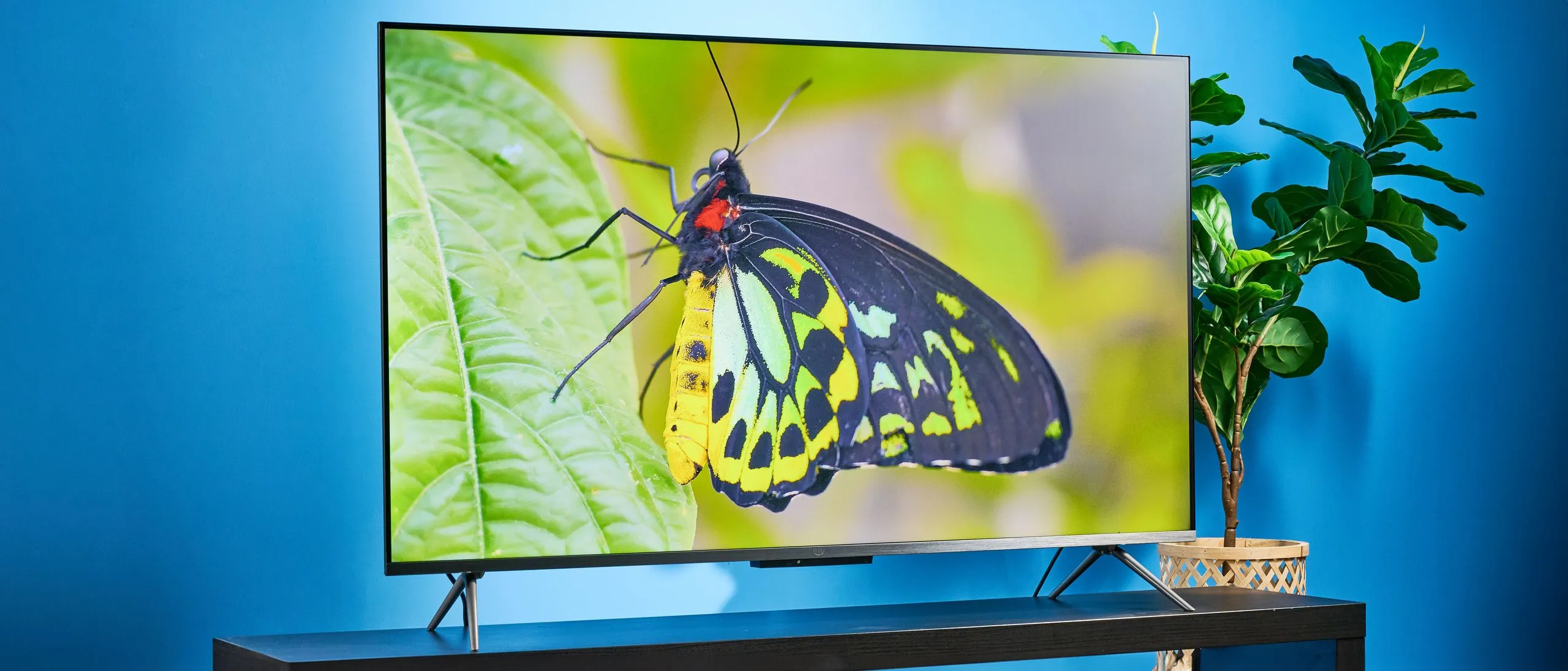 Best Budget 4K TV Deals: Vizio Mini LED vs TCL and Amazon Ember