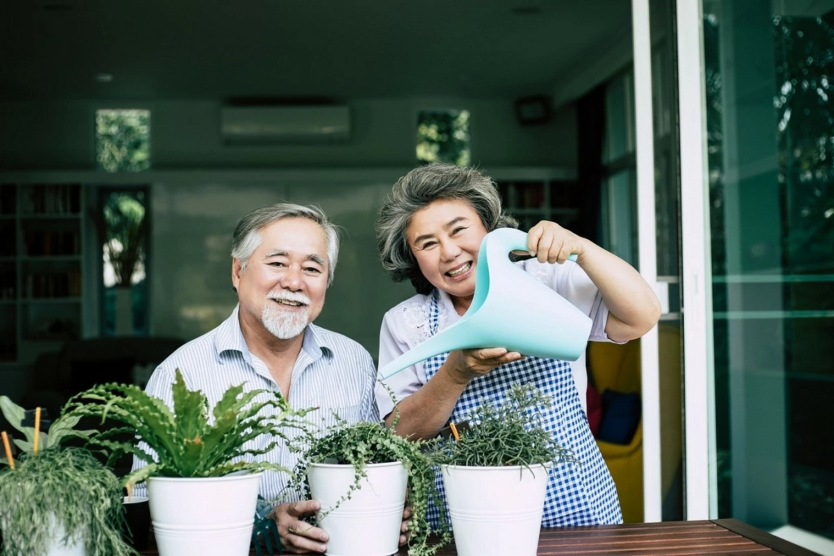 Kinh tế Bạc: Cơ hội tăng trưởng mới hay bài toán an sinh?