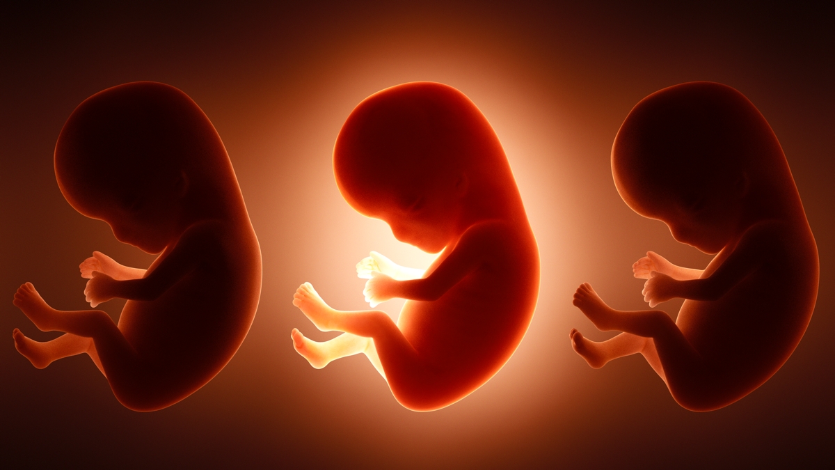 What You Eat Before Pregnancy Shapes Your Child's Brain