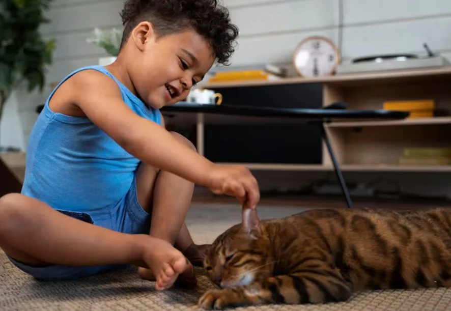 New Cat Parent Checklist: Essential Care Tips for Your First Feline