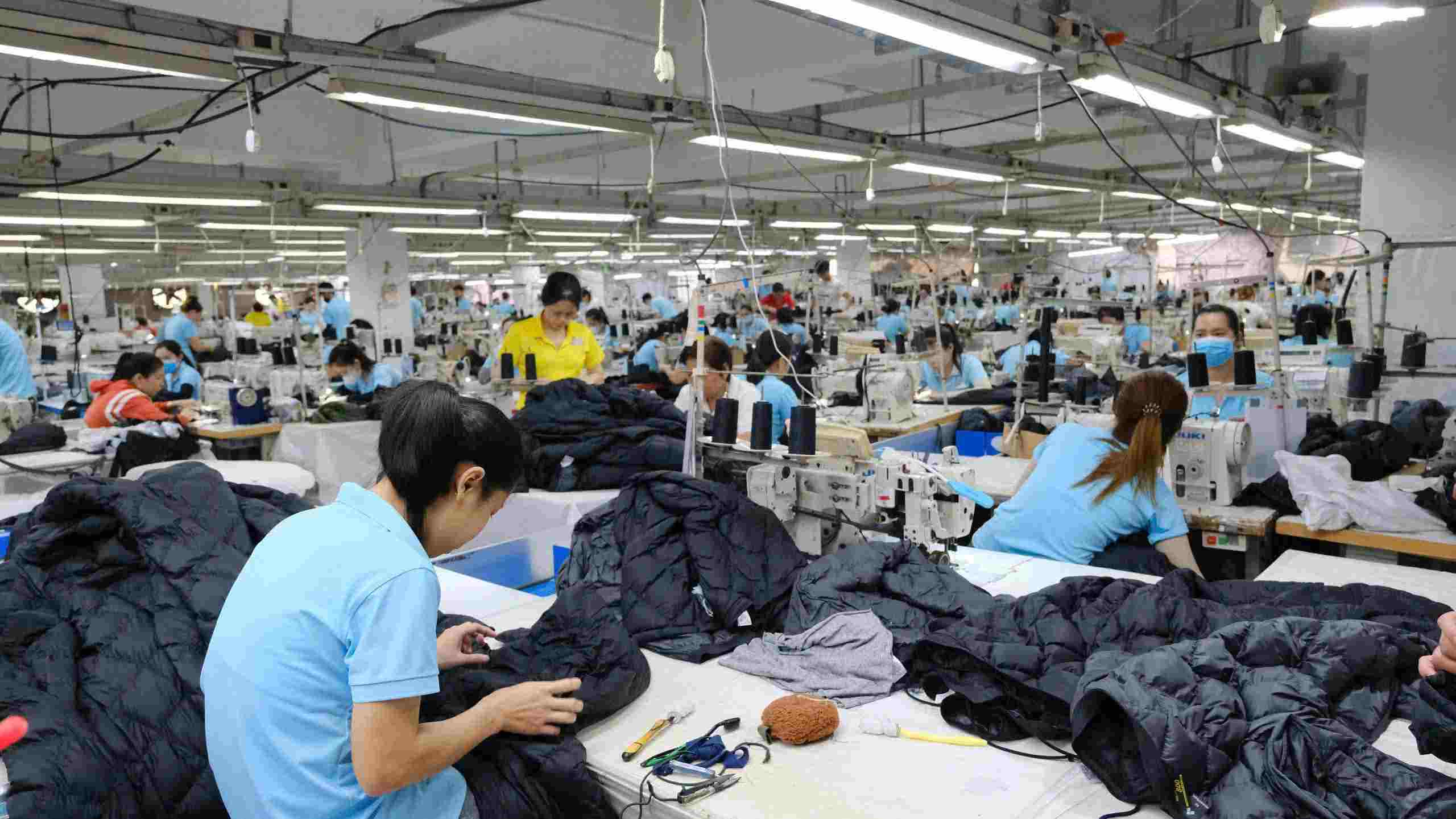 Cơ hội việc làm bùng nổ cho thợ mộc và ngành gỗ tại Cần Thơ