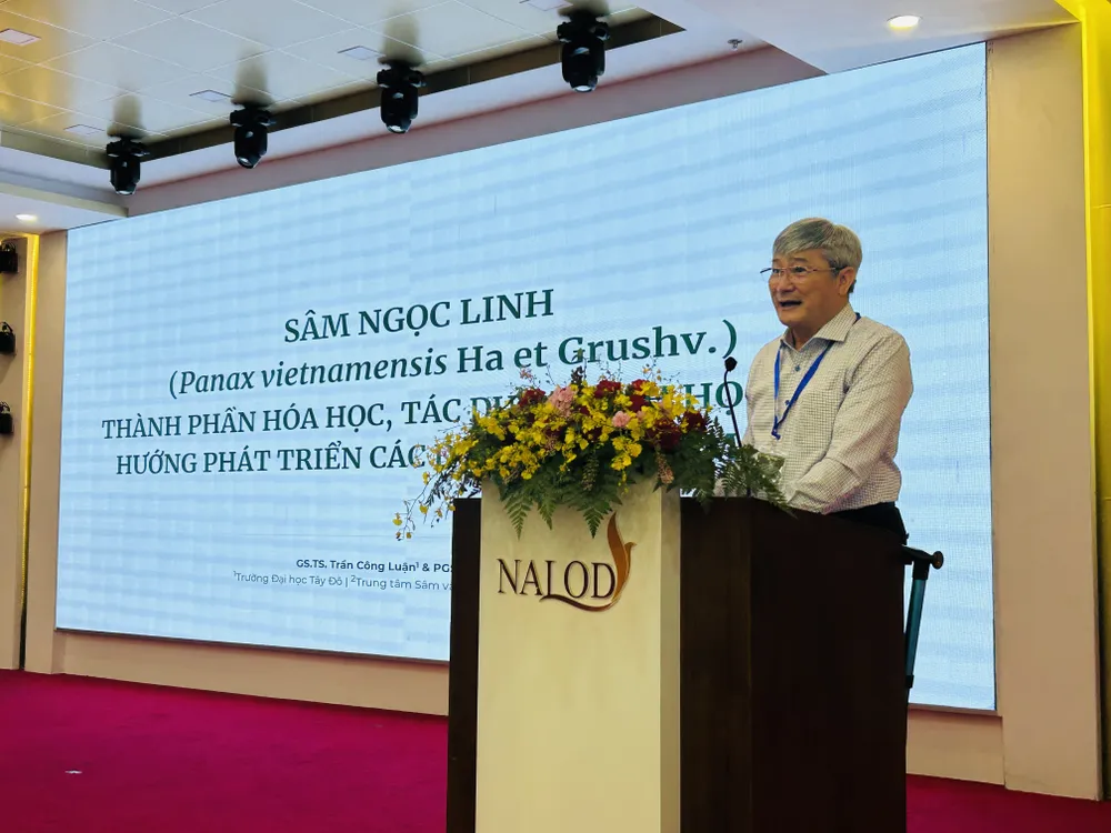 Từ rừng sâu đến tay người tiêu dùng: sâm Ngọc Linh cần được bảo vệ bằng công nghệ
