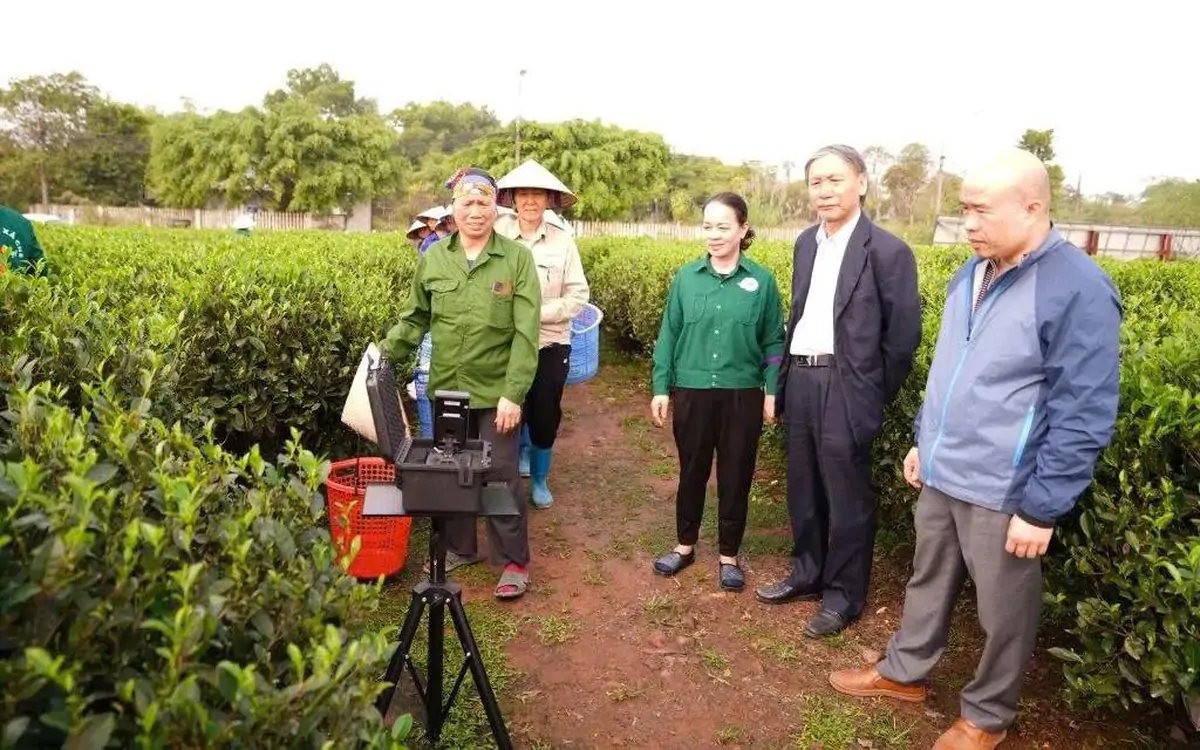 Thái Nguyên hướng tới tăng trưởng hai con số: chiến lược nào để trở thành cực tăng trưởng vùng?