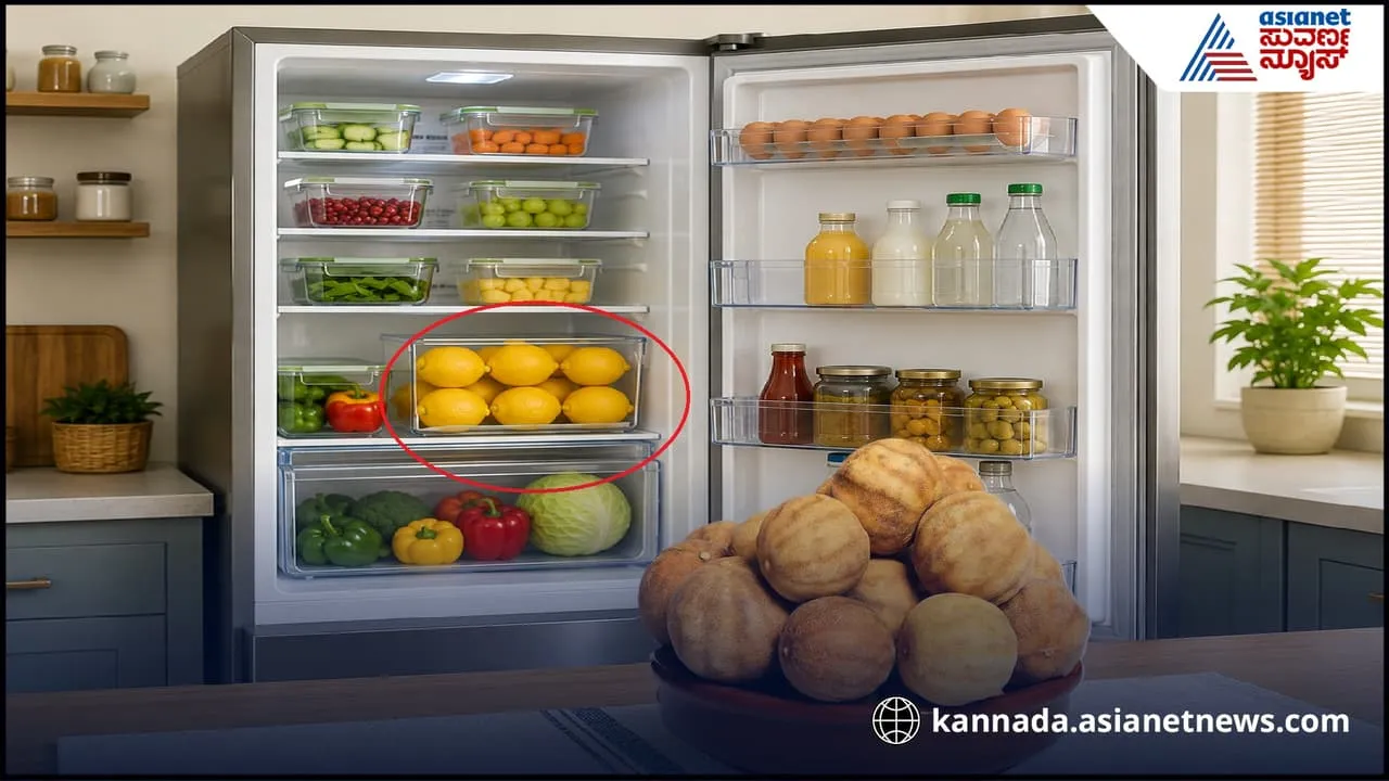 Budget Produce Storage Tools That Actually Keep Food Fresh