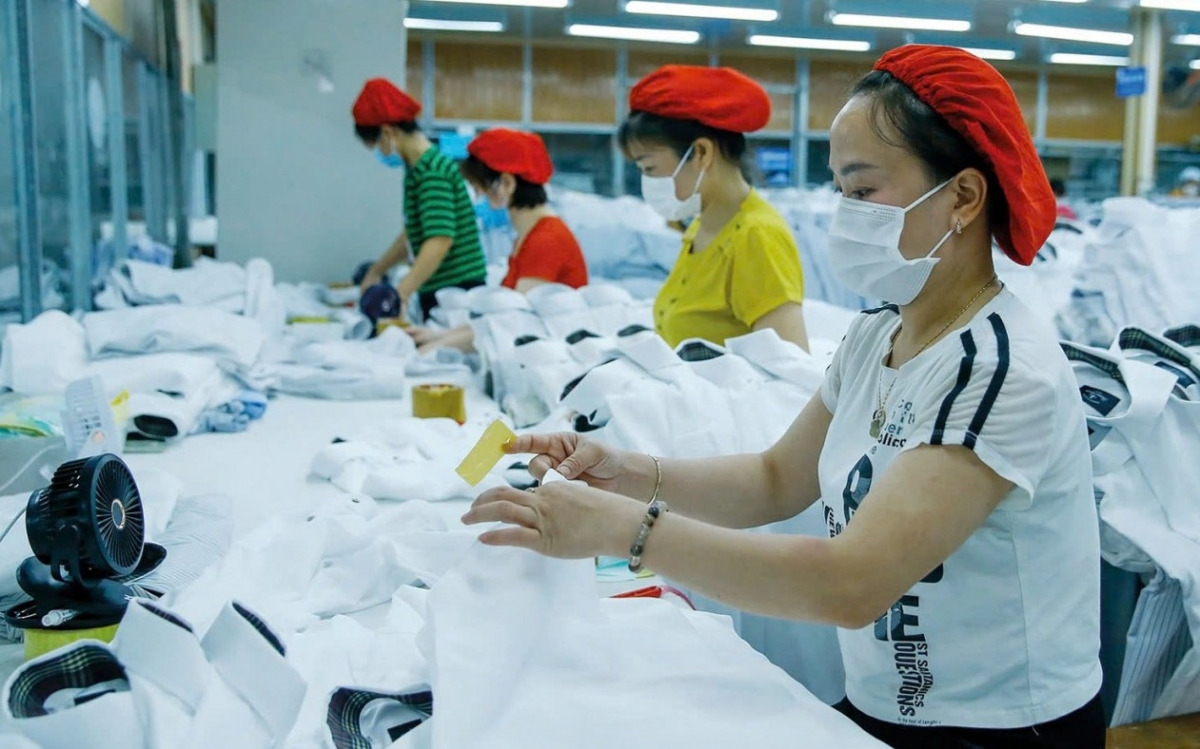 Thuế quan Mỹ–Việt leo thang: chiến lược sống còn cho doanh nghiệp