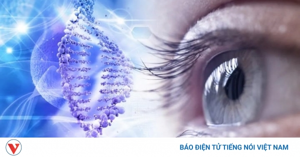 Bệnh thị giác Leber: Xét nghiệm gen để bảo vệ thị lực cả gia đình