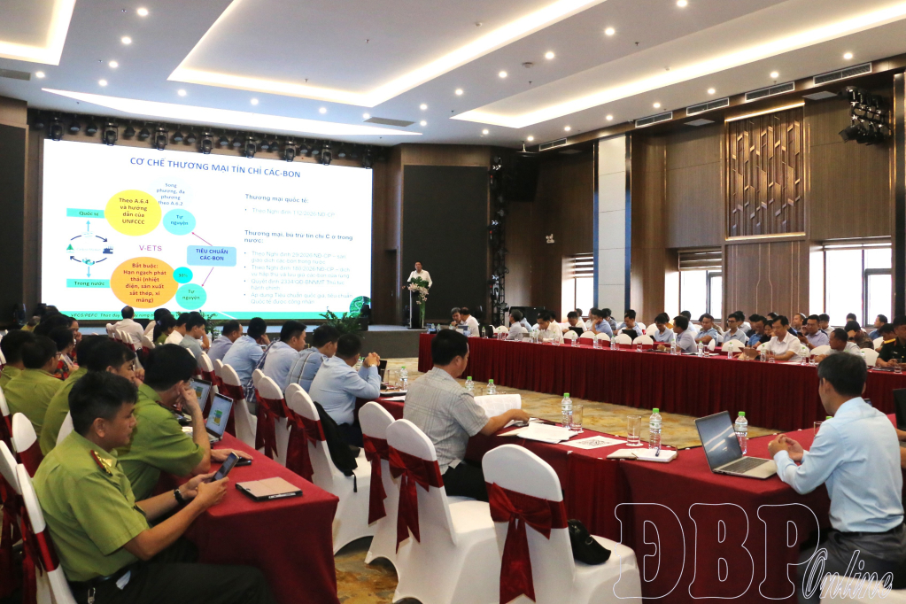 Từ phòng lab đến công bố quốc tế: Hành trình khẳng định khoa học Việt Nam