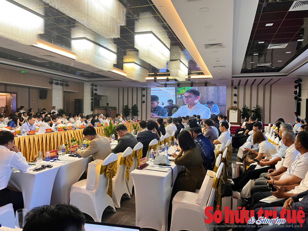Từ khai thác rừng đến kinh tế sinh học với sâm Ngọc Linh