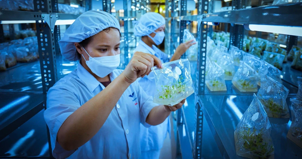 Công nghệ sinh học rời phòng thí nghiệm và tạo giá trị mới