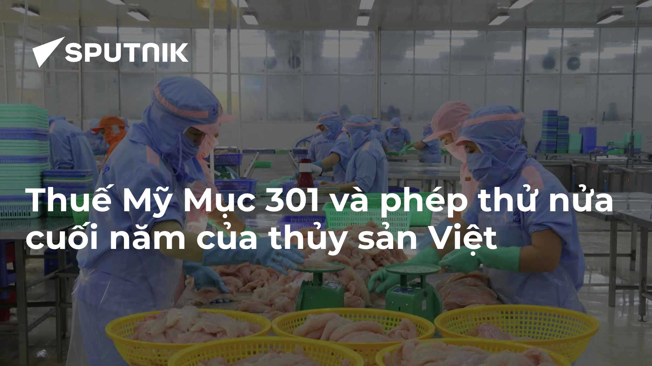 Thuế Mỹ Mục 301 gia tăng: Xuất khẩu thủy sản Việt có mất đà?