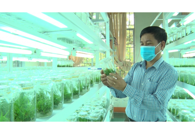 Thay thế 50% sản phẩm sinh học nhập khẩu: tham vọng hay bước ngoặt?