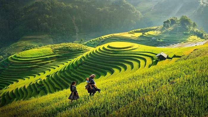 Du lịch bền vững Việt Nam: Quảng Ninh xanh và làn sóng trải nghiệm địa phương