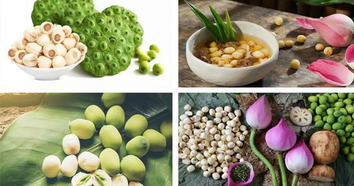 Hạt sen tươi hay khô, lá tía tô tươi khô: chọn sao cho “đáng sức khỏe”