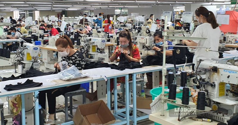 Tuổi 40 là ngã rẽ sức khỏe: chuẩn bị tuổi già từ hôm nay