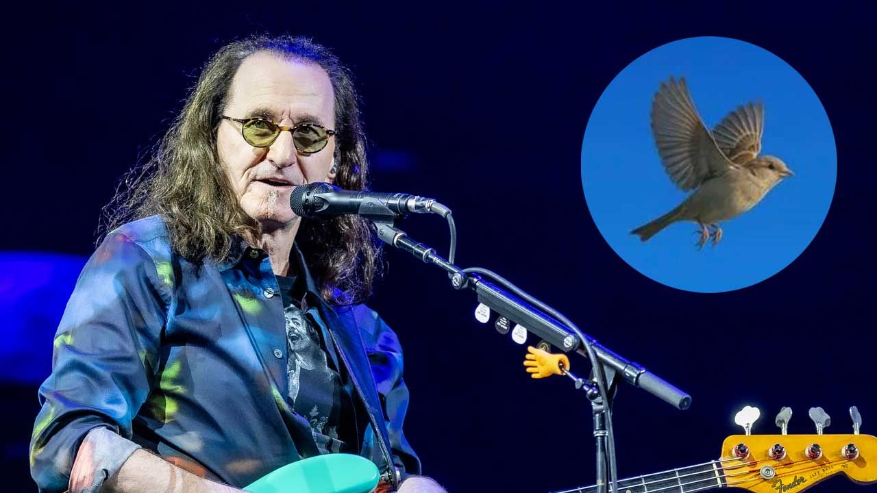 Geddy Lee’s Spooky Bird Encounter and Neil Peart’s Spiritual Echo