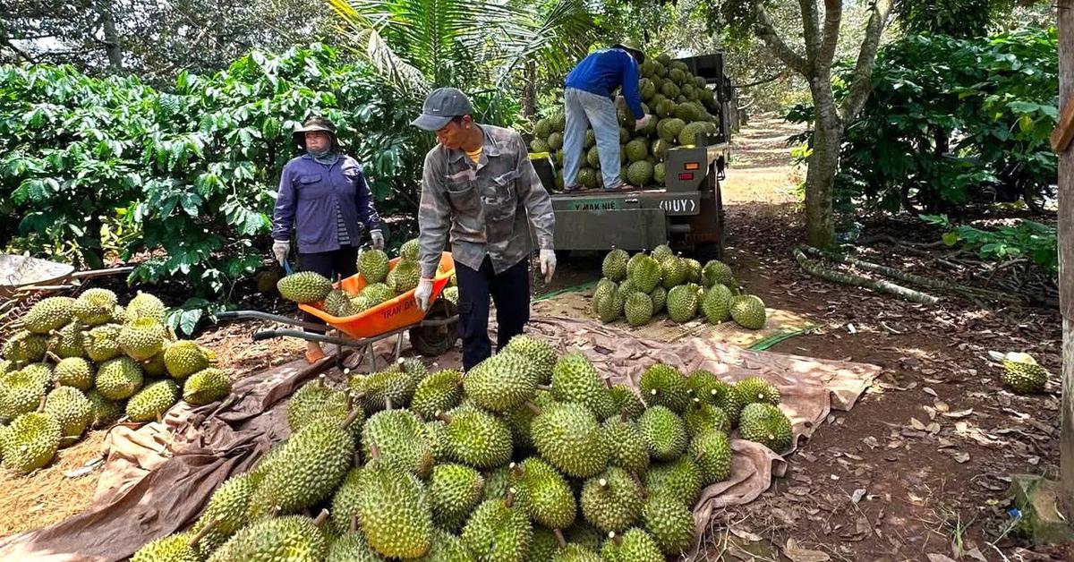 Ba lễ hội lớn đưa Việt Nam thành tâm điểm du lịch sự kiện châu Á
