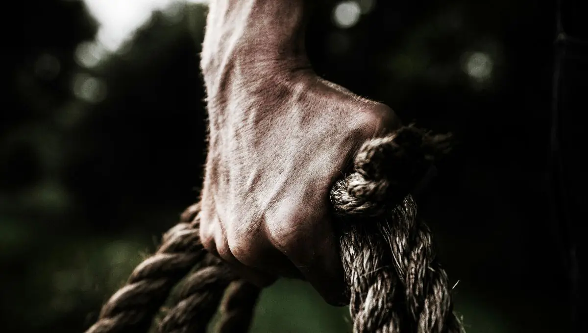 Plank, Grip, and Bridge: Functional Fitness Benchmarks by Age