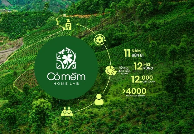 Mỹ phẩm nội địa khẳng định chất lượng và giá trị bền vững