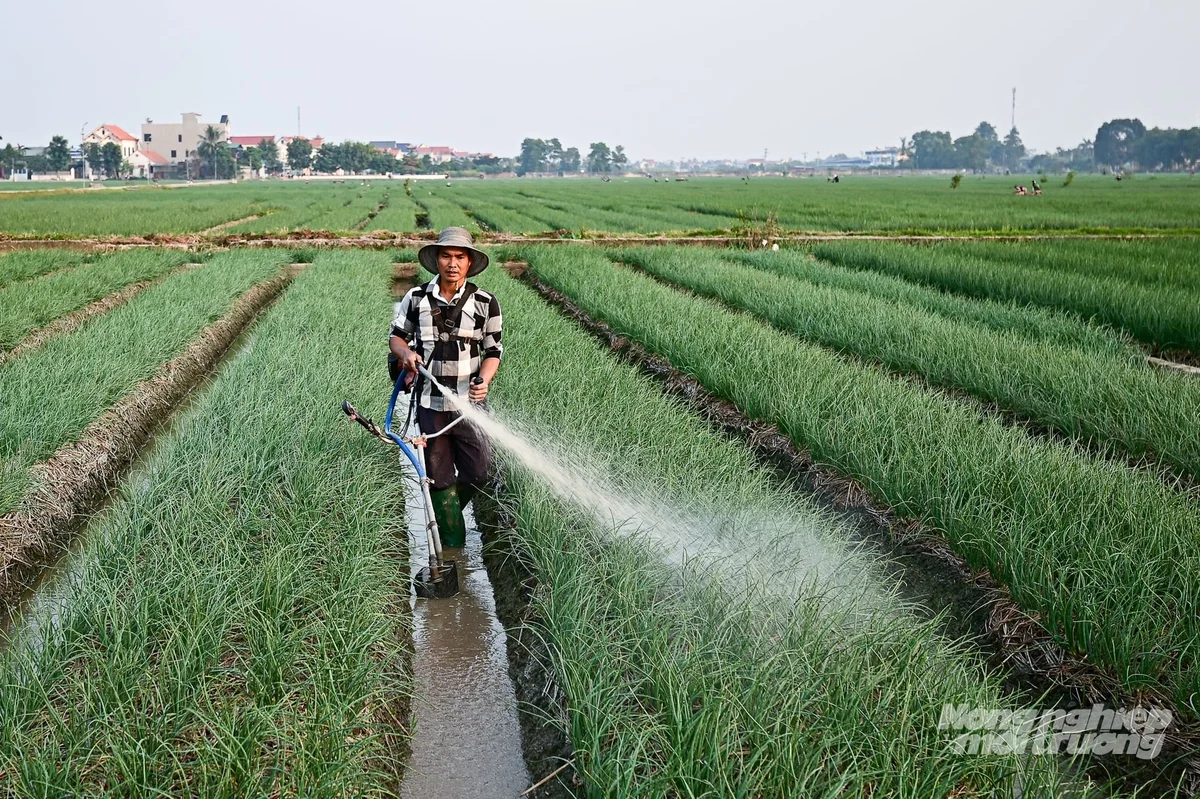 Quy định mới về truy xuất hóa chất nông nghiệp: Chuỗi cung ứng không còn vùng mờ