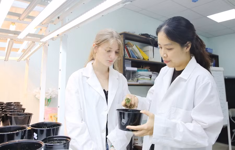 Ba đại học đầu tiên chạy đua thành đại học tinh hoa: Tham vọng và bài toán tiêu chí