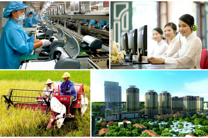 Hà Tĩnh đặt cược vào năng suất để bứt phá thành trung tâm sản xuất chất lượng cao