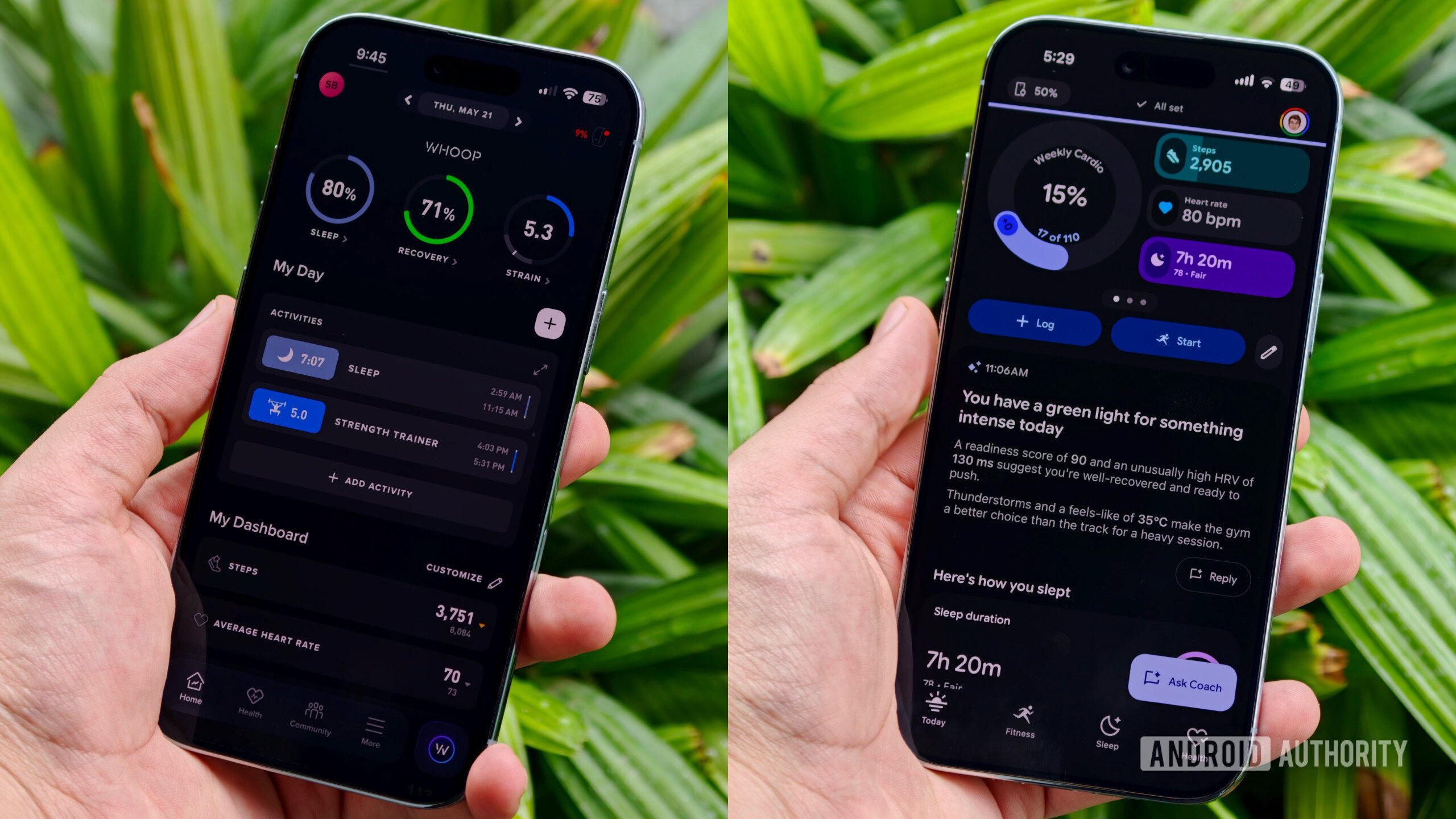Google Health glucose: Khi đường huyết bước vào hệ sinh thái số
