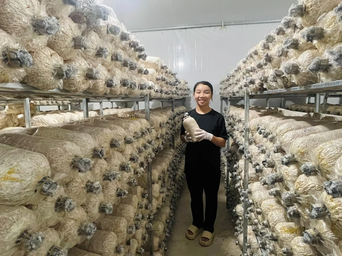 Từ phân vi sinh đến nông nghiệp số: cuộc đổi đời trên đồng ruộng Việt Nam