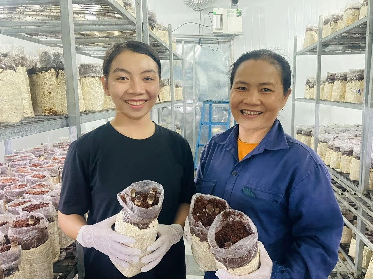 Từ phân vi sinh đến nông nghiệp số: cuộc đổi đời trên đồng ruộng Việt Nam