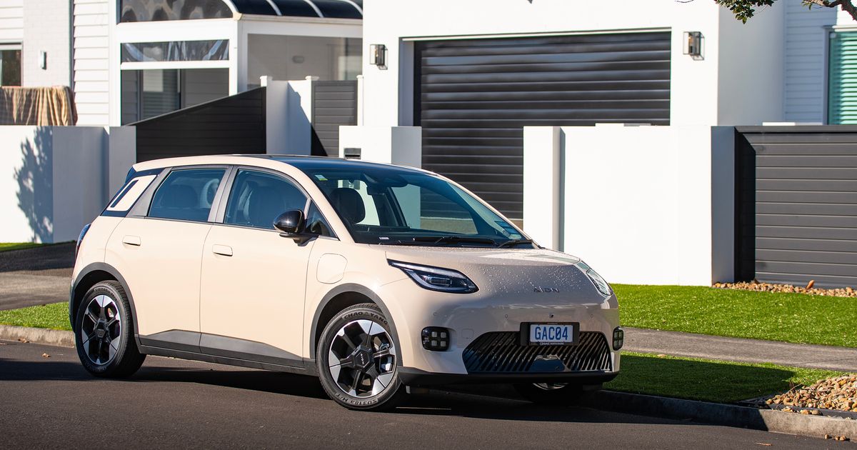 Chinese EV Brands Flooding the Market: Leapmotor, Omoda, Geely and More Compared