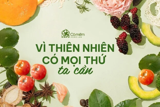 Từ startup đến 100 cơ sở: mỹ phẩm Việt đang viết lại thị trường chăm da