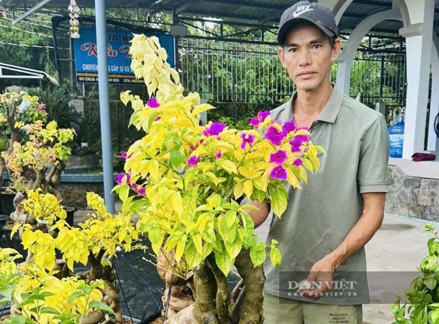 Từ quầy chợ vắng đến triệu đơn: Khi người bán bình thường chinh phục livestream