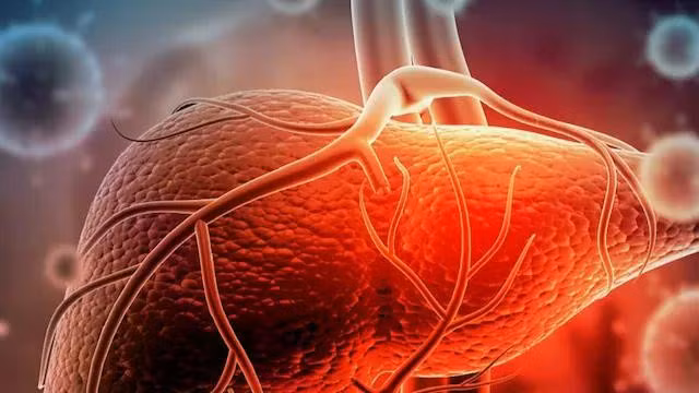 Thuốc nam không rõ nguồn gốc: Khi gan lên tiếng kêu cứu