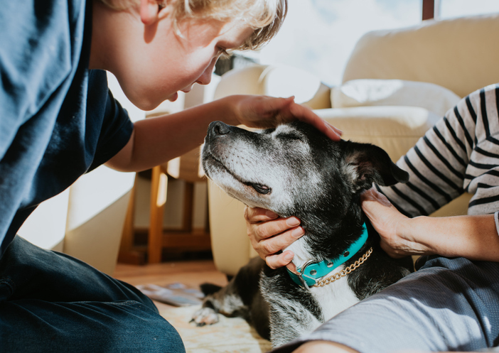 Growing Up With Dogs May Boost Your Child's Immune System