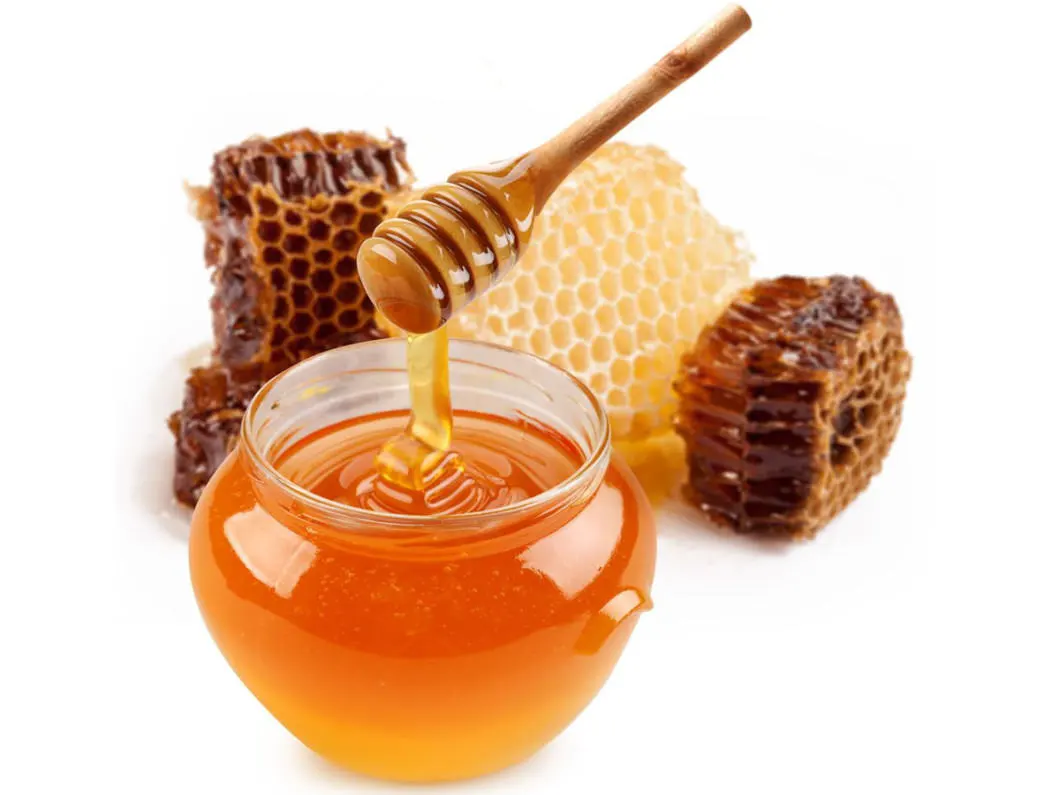 Honey vs Apple Cider Vinegar for Dry Hair: What Works